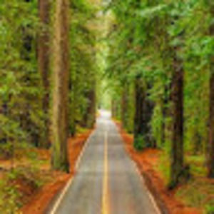 Meet your Posher, Rodrigo